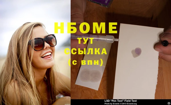 хмурый Алзамай