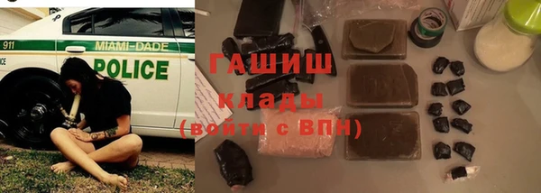 хмурый Алзамай