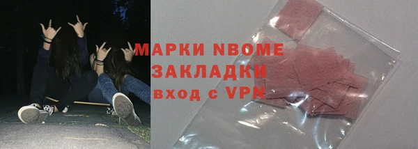 хмурый Алзамай