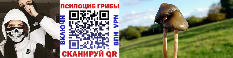 Галлюциногенные грибы MAGIC MUSHROOMS  Бодайбо 